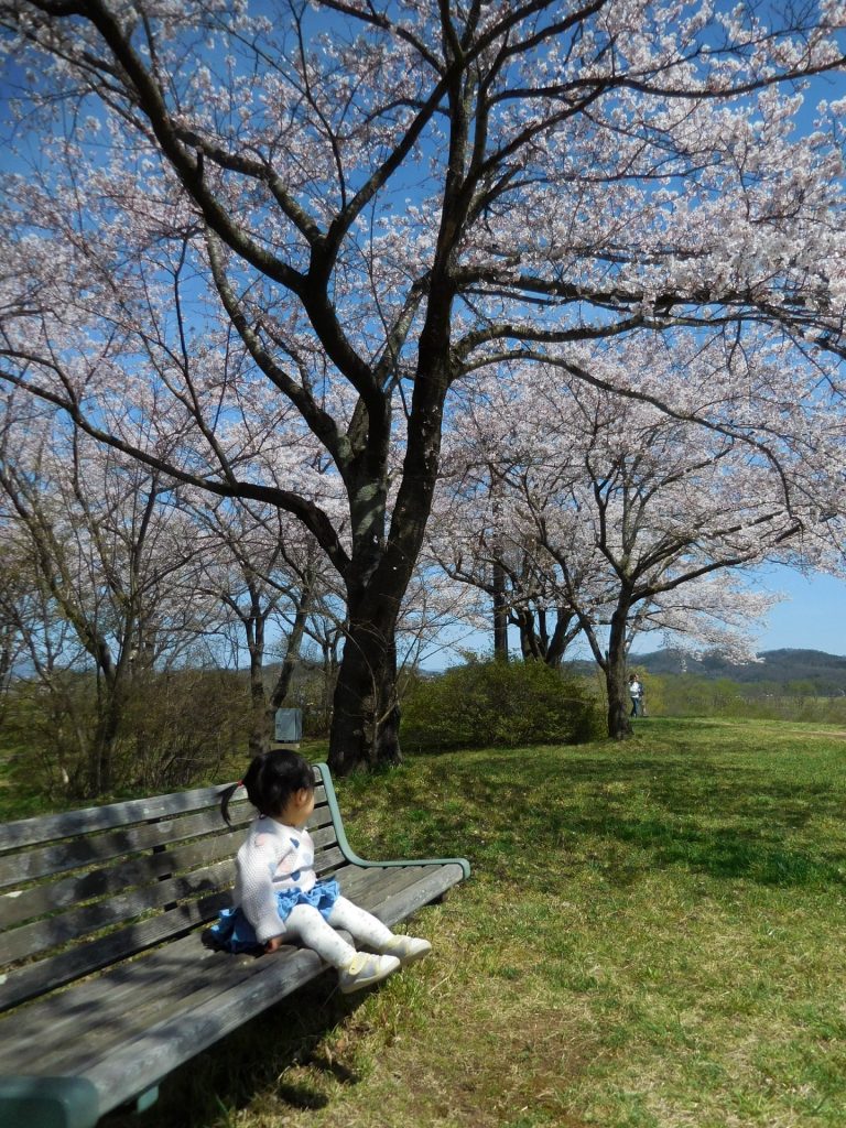 川沿いの遊歩道